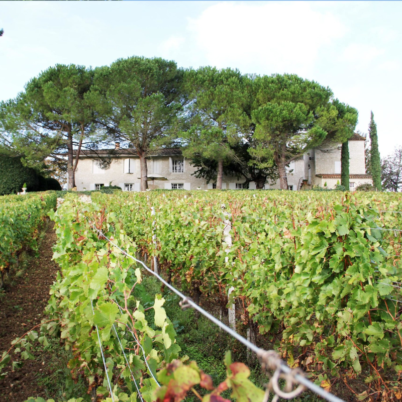 Hostens~Picant Rouge