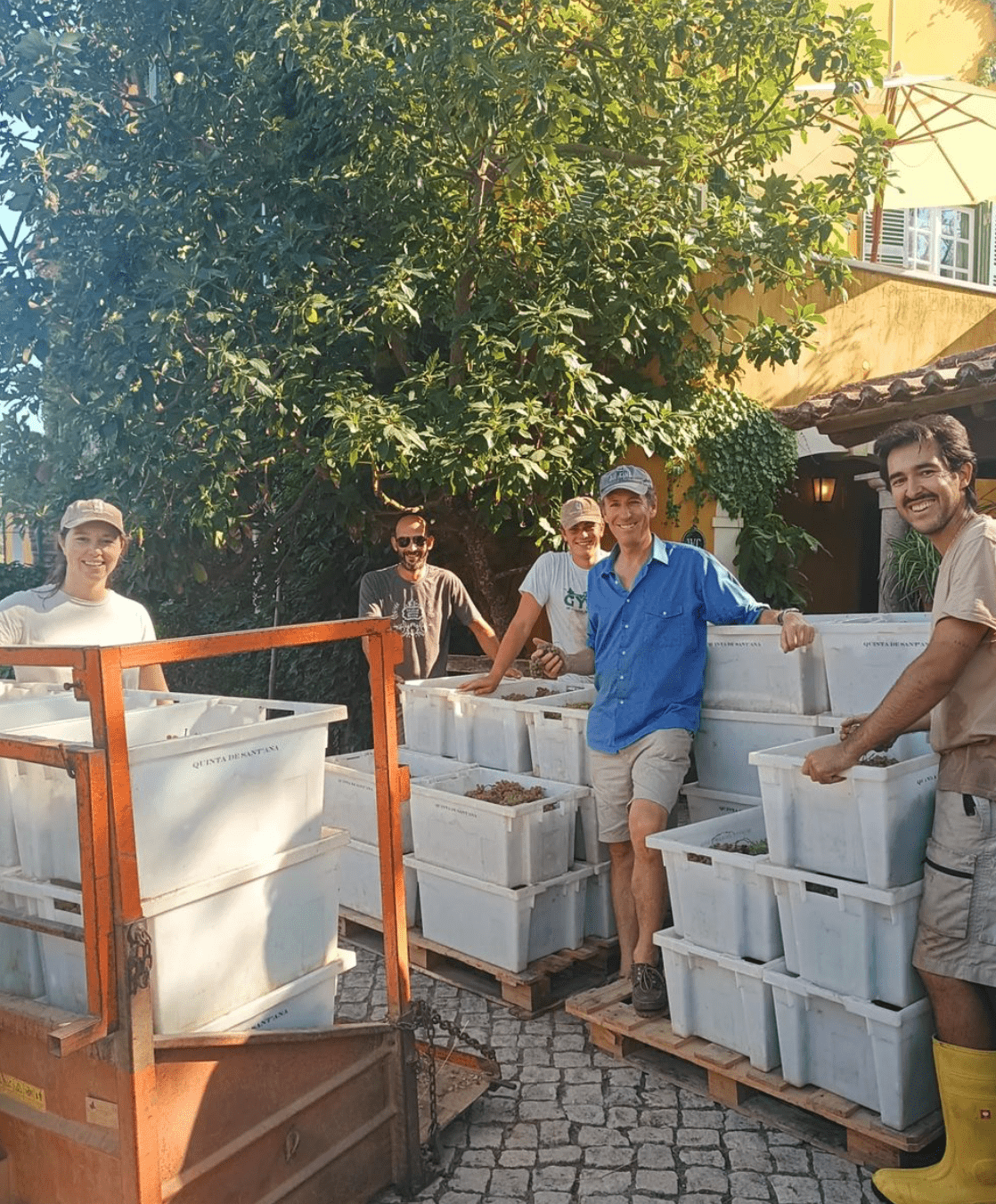 Homenagem 'a Barão von Füstenberg'